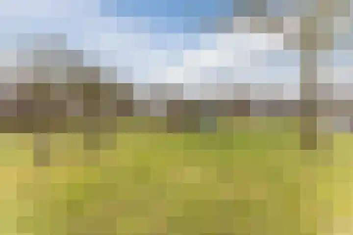 Eik 20 Best thumbnail 33