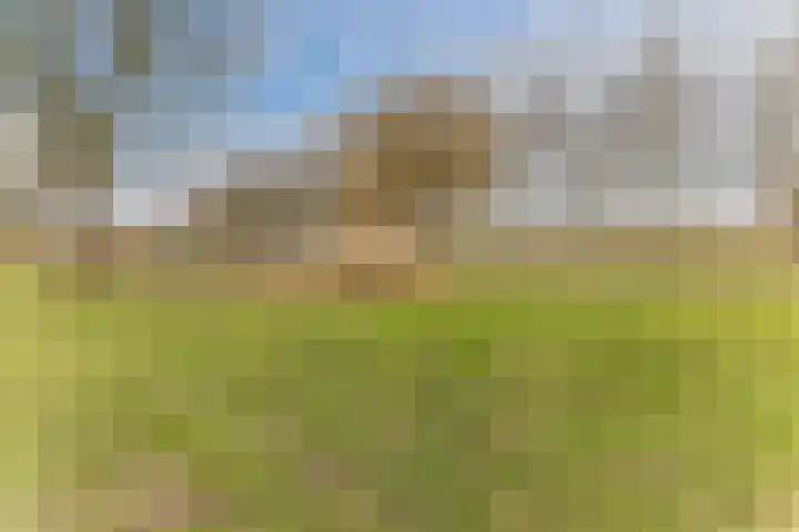 Eik 20 Best thumbnail 34