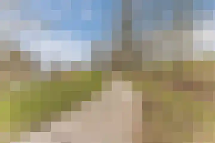 Eik 20 Best thumbnail 35