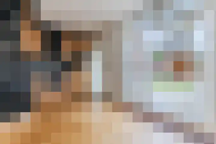 Eik 20 Best thumbnail 4