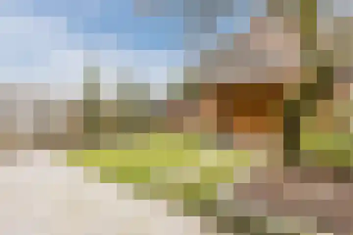 Eik 20 Best thumbnail 5