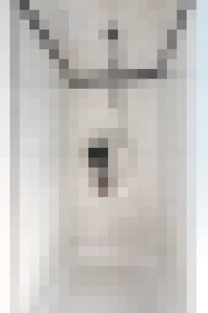 Eik 22 Best thumbnail 32