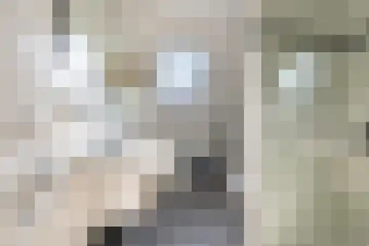 Eik 22 Best thumbnail 4