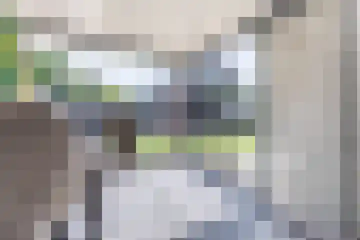 Eik 22 Best thumbnail 41