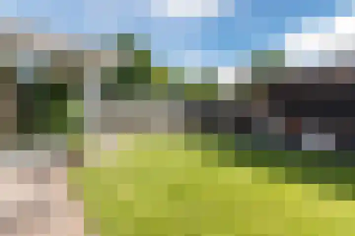 Eik 22 Best thumbnail 42