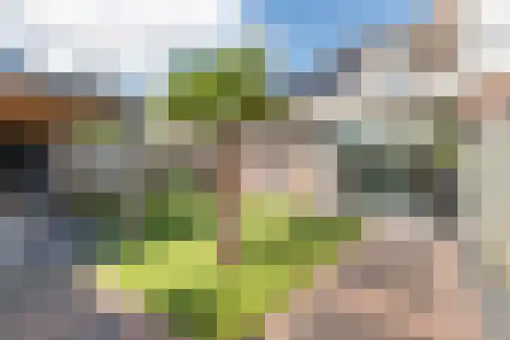 Eik 22 Best thumbnail 44