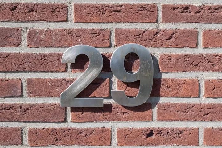 Eik 29 Leek thumbnail 5