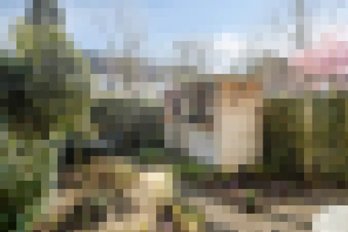 Eikakkerhoeven 28 Rosmalen thumbnail 19