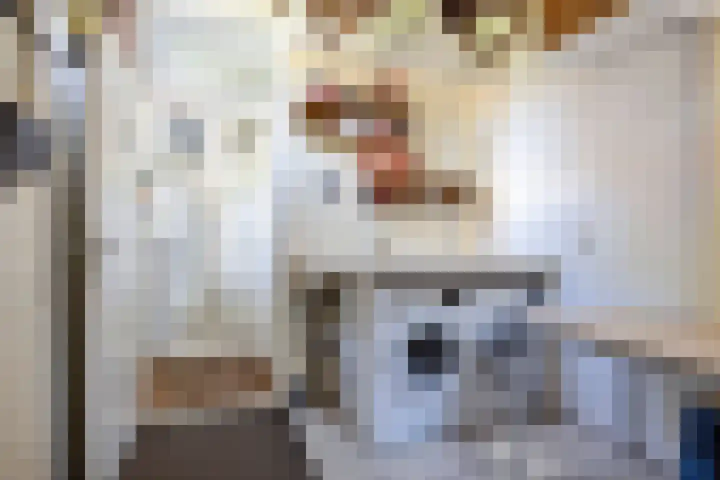 Eikakkerhoeven 90 Rosmalen thumbnail 12