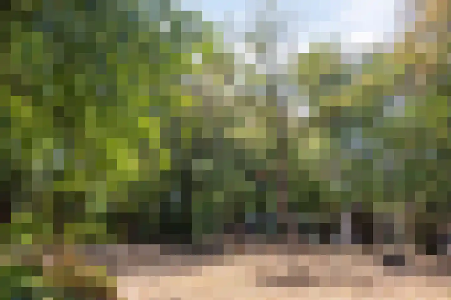 Eikakkerhoeven 90 Rosmalen thumbnail 28