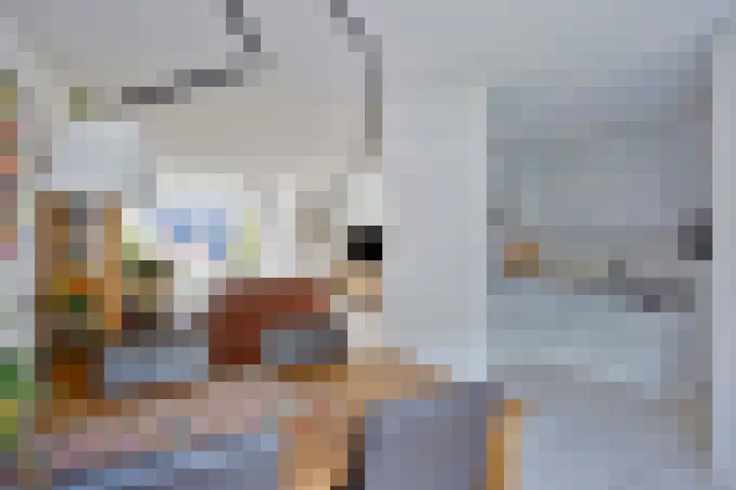 Eikakkerhoeven 90 Rosmalen thumbnail 9