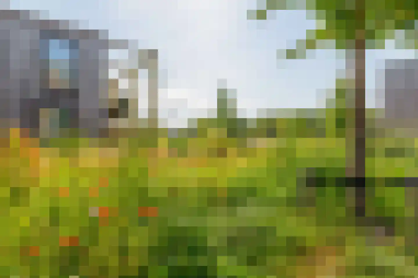 Eikberg 2 Eindhoven thumbnail 4