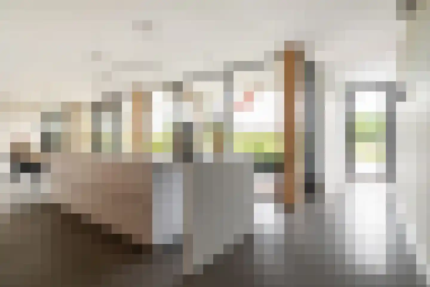 Eikbergse Veld 25 Bavel thumbnail 12