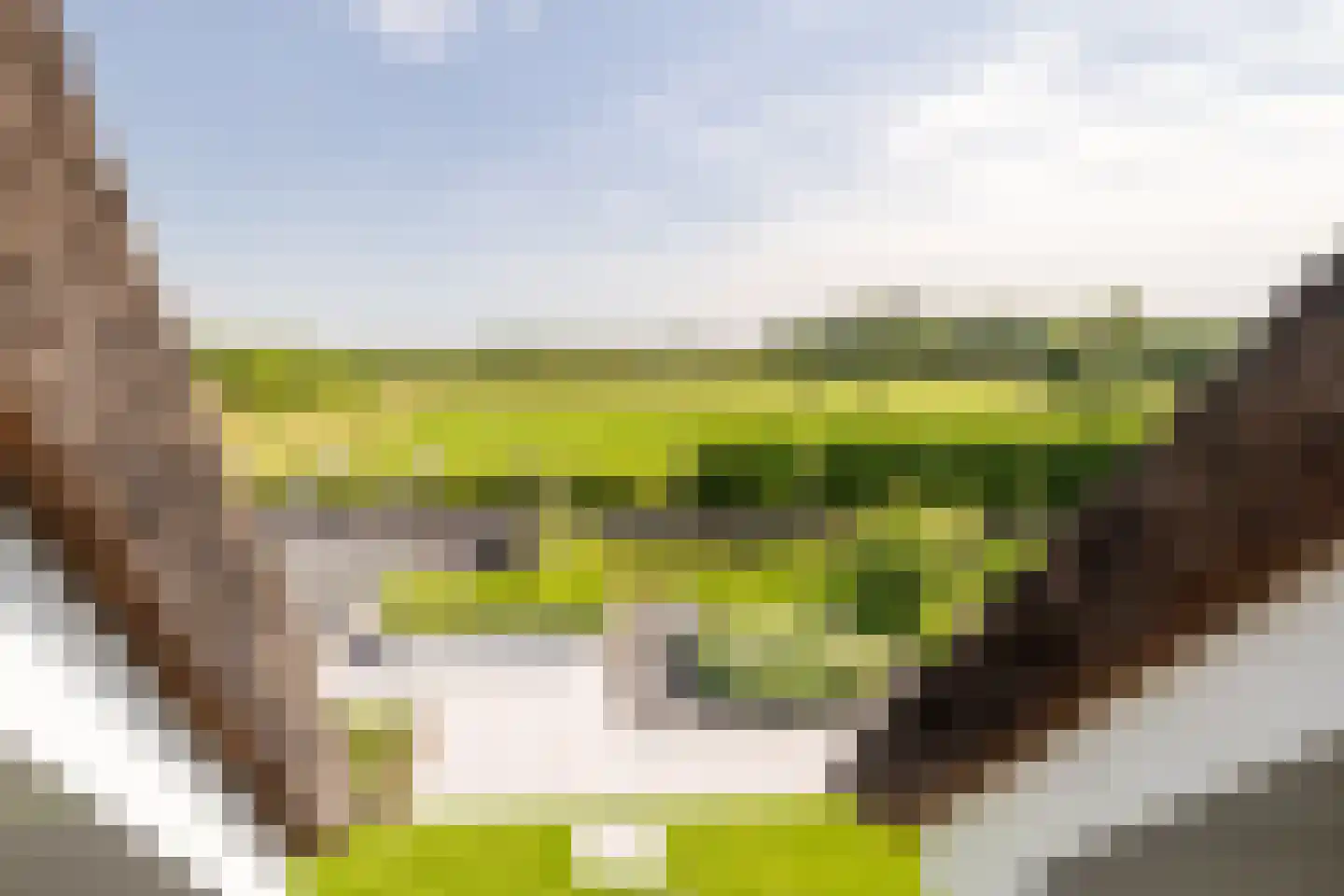 Eikbergse Veld 25 Bavel thumbnail 49