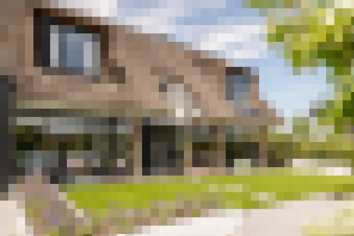 Eikbergse Veld 25 Bavel thumbnail 57