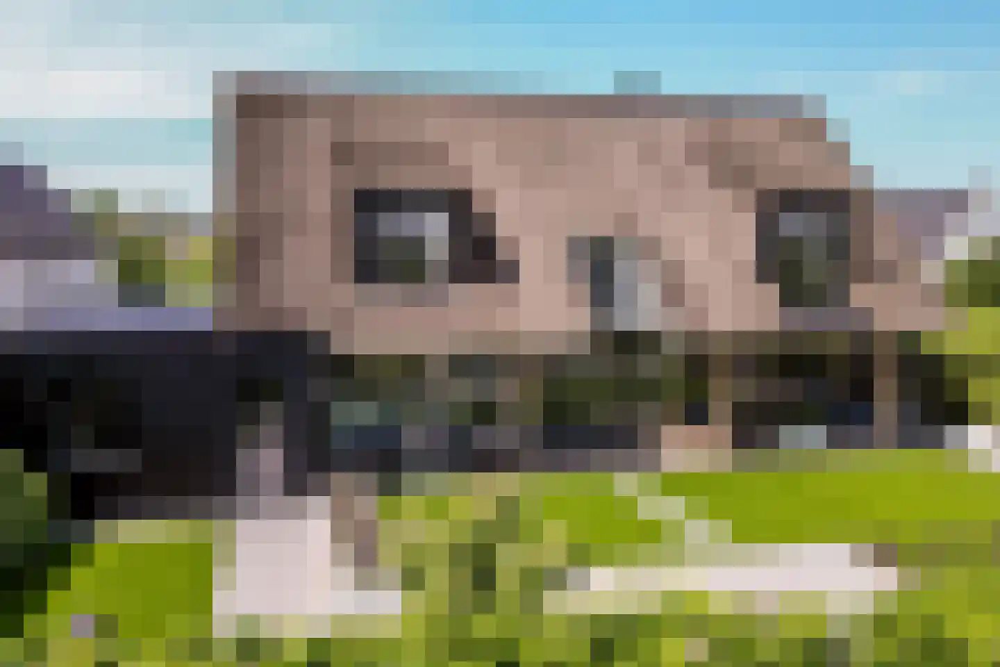Eikbergse Veld 25 Bavel thumbnail 58