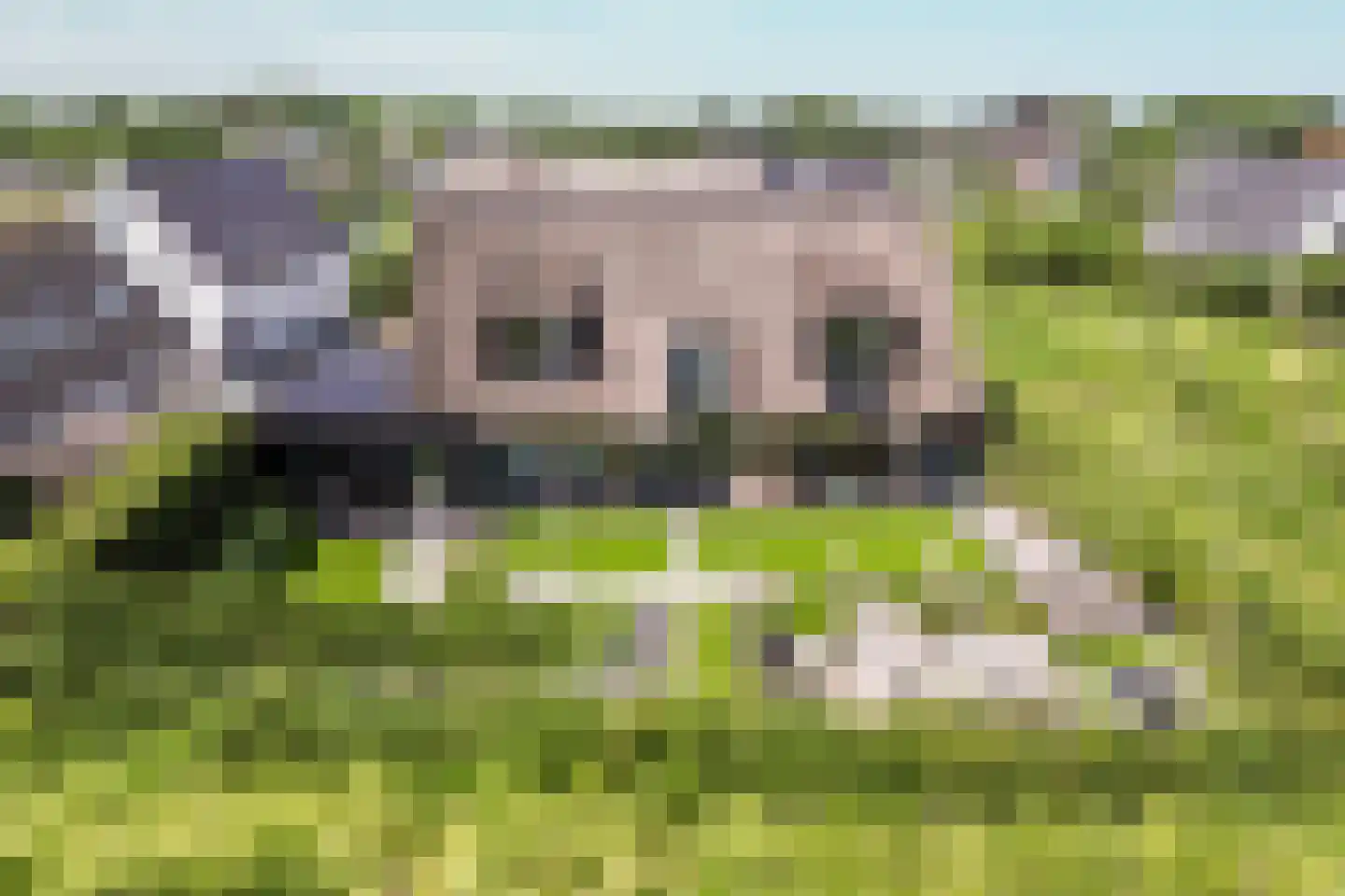 Eikbergse Veld 25 Bavel thumbnail 60