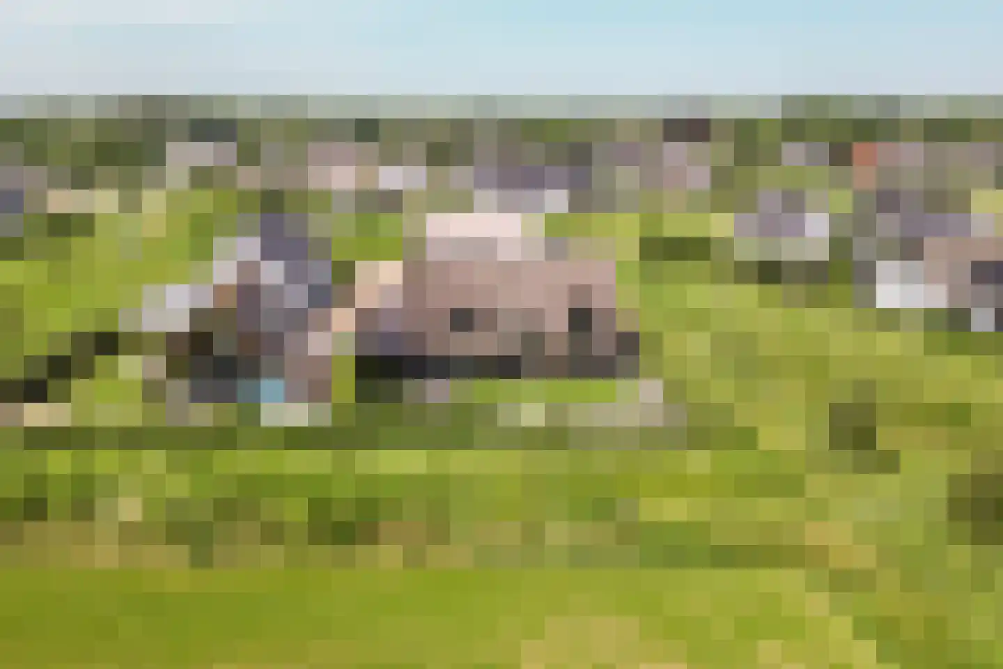Eikbergse Veld 25 Bavel thumbnail 61