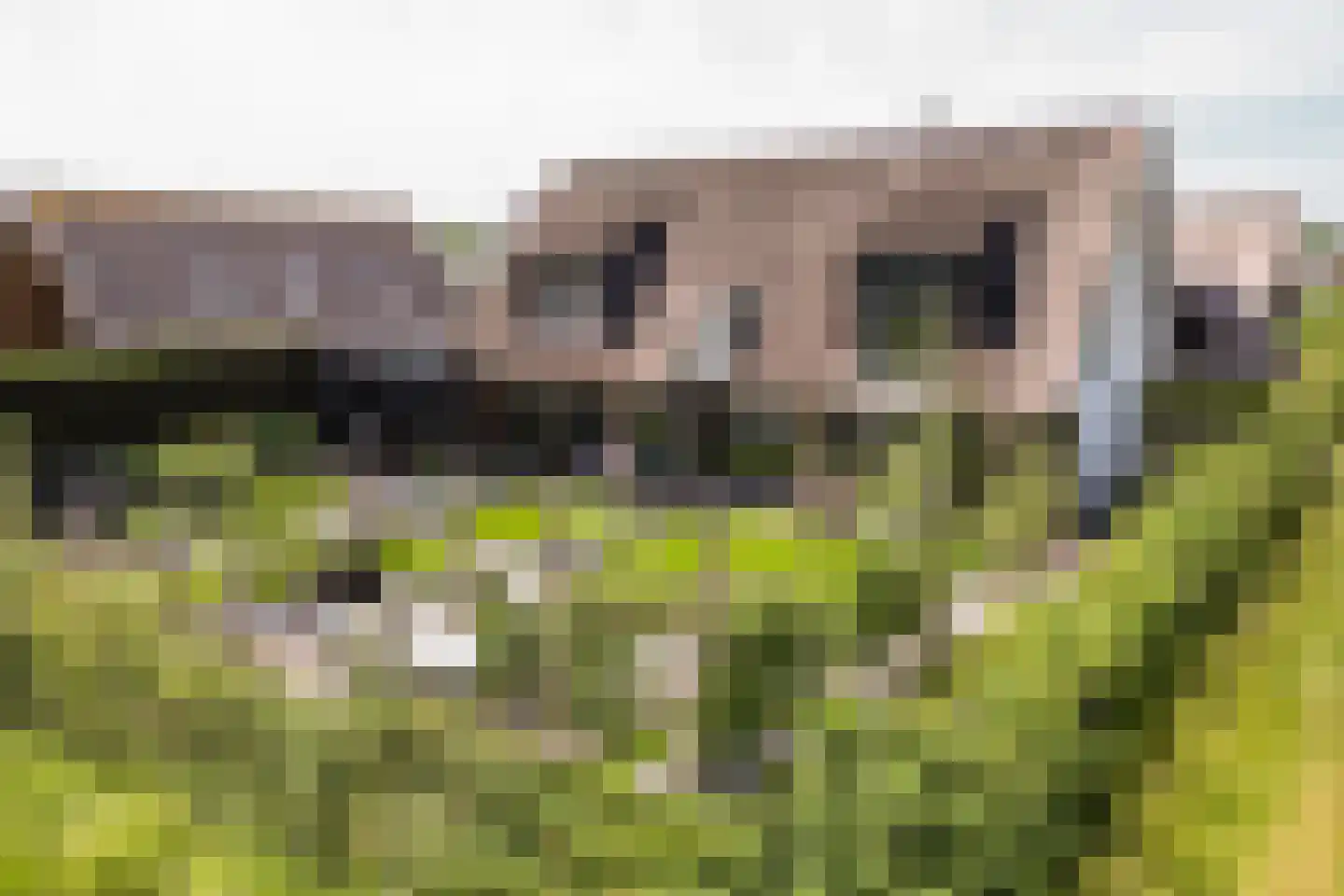 Eikbergse Veld 25 Bavel thumbnail 62