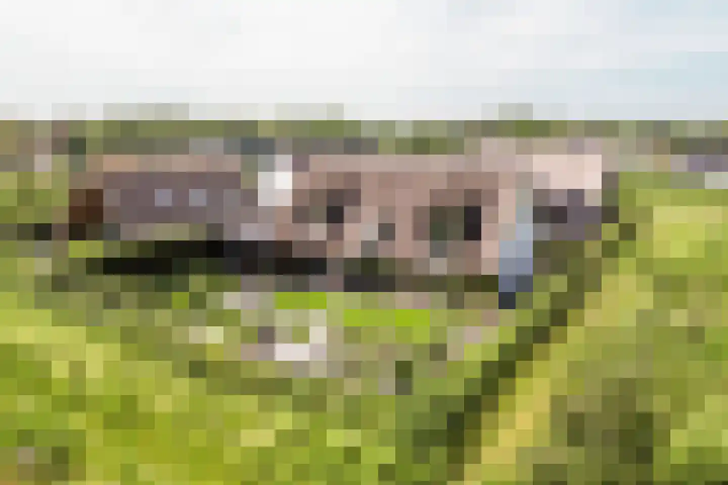 Eikbergse Veld 25 Bavel thumbnail 63