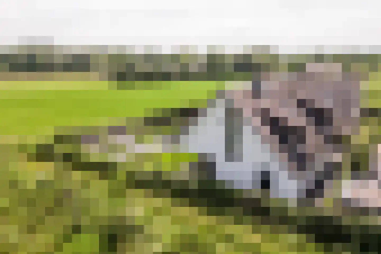 Eikbergse Veld 25 Bavel thumbnail 64