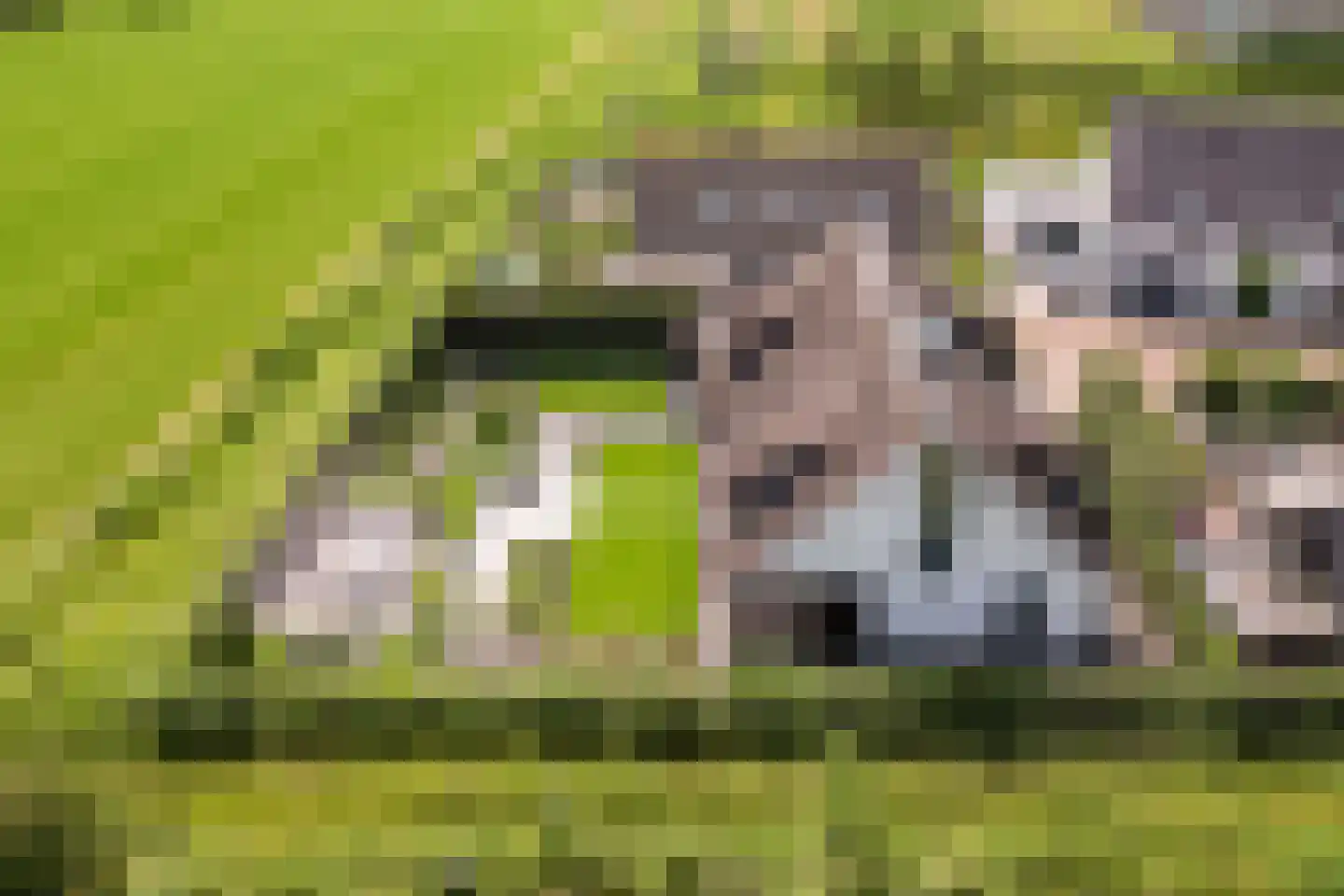 Eikbergse Veld 25 Bavel thumbnail 65