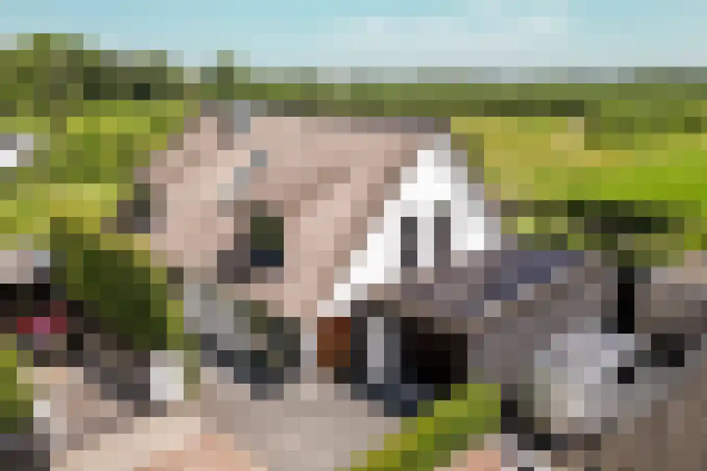Eikbergse Veld 25 Bavel thumbnail 67