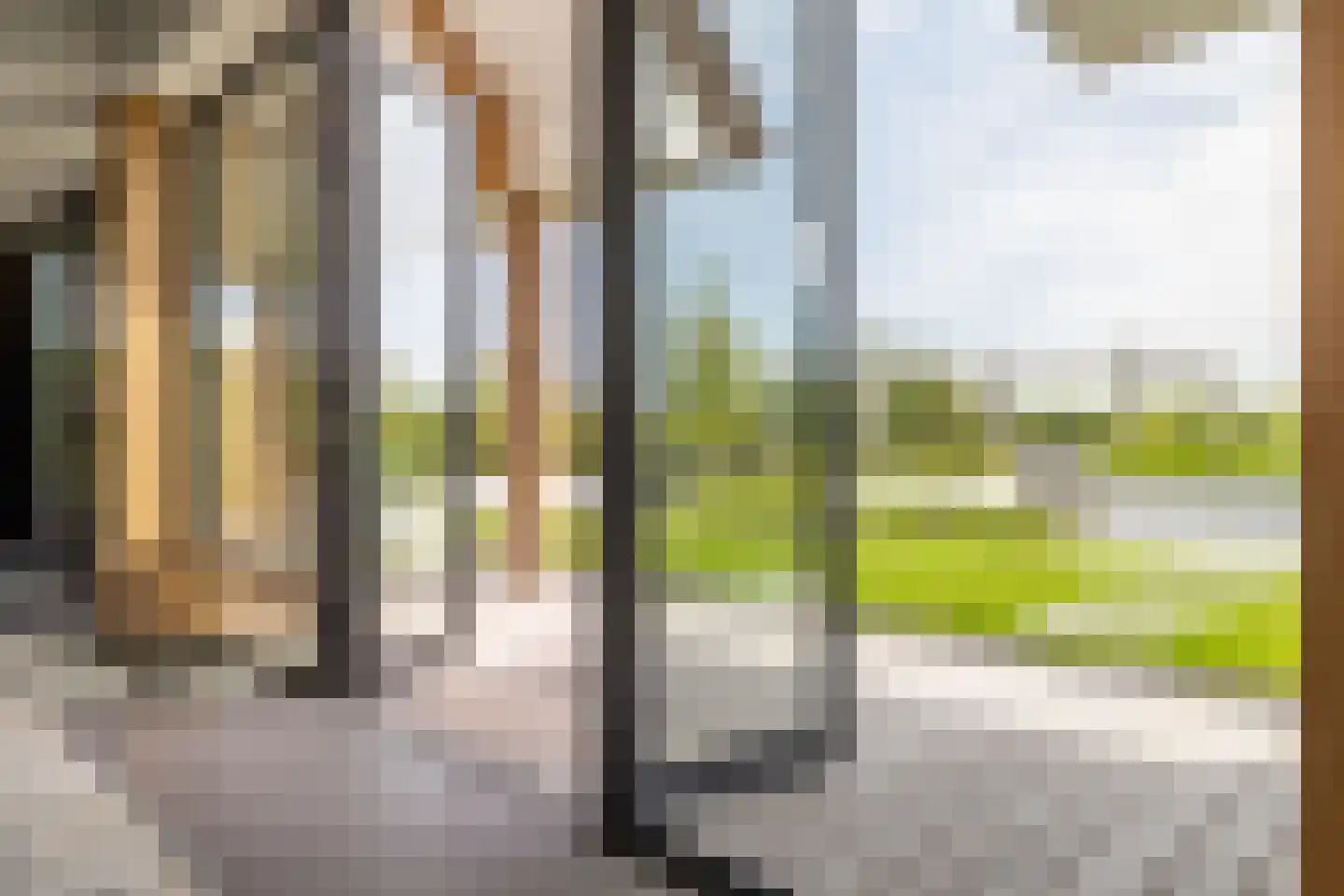 Eikbergse Veld 25 Bavel thumbnail 9