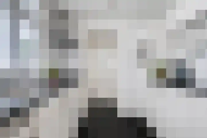 Eikbosserweg 102 Hilversum thumbnail 12