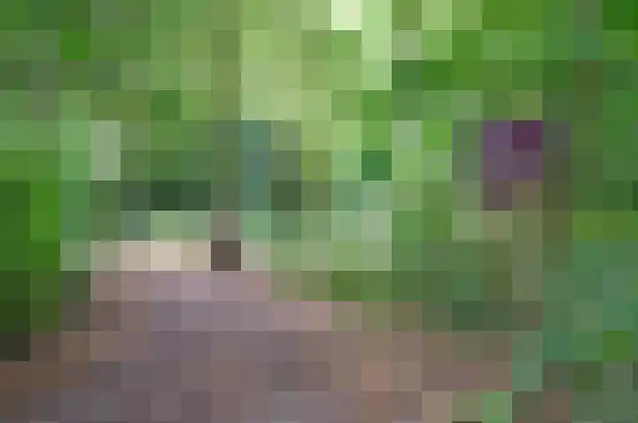 Eikbosserweg 102 Hilversum thumbnail 30
