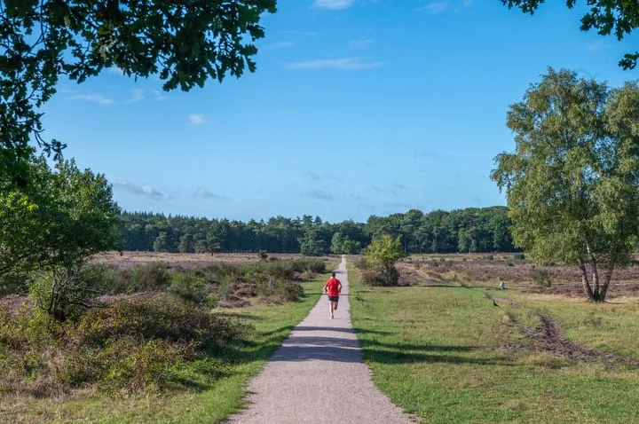 Eikbosserweg 102 Hilversum thumbnail 24