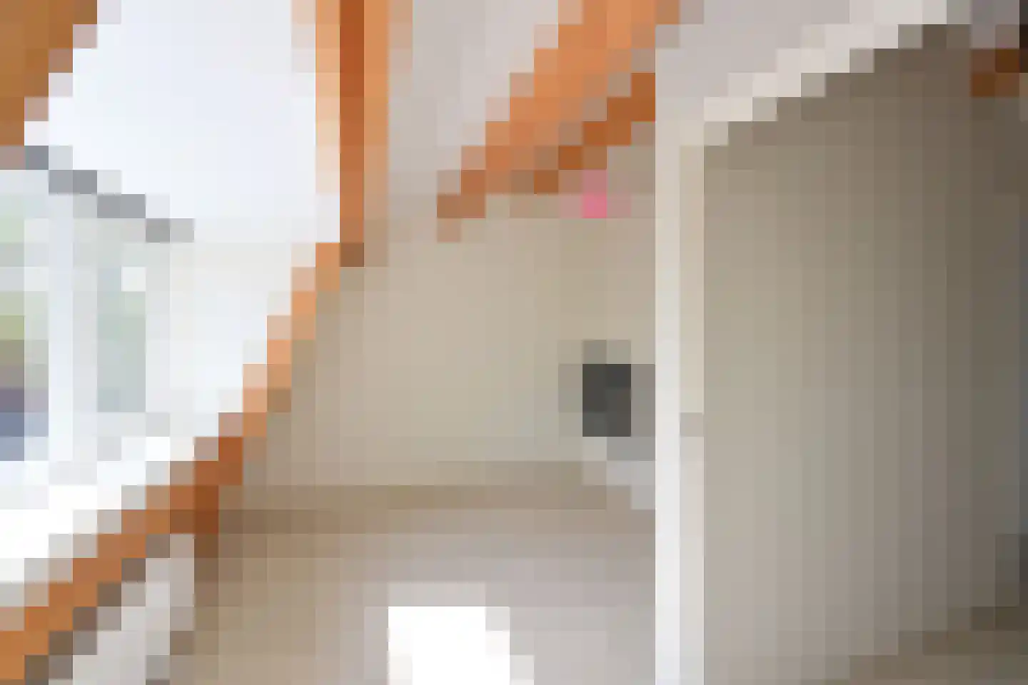 Eikbosserweg 104 Hilversum thumbnail 16