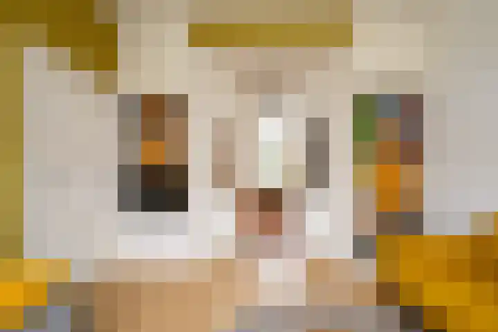 Eikbosserweg 150 Hilversum thumbnail 4