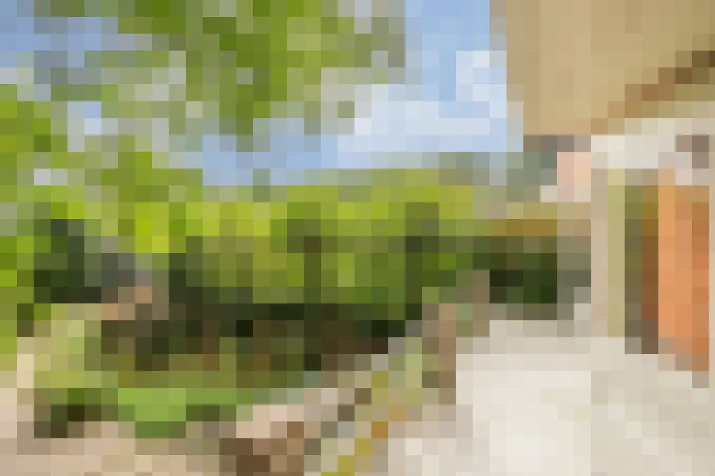 Eikbosserweg 165 Hilversum thumbnail 16