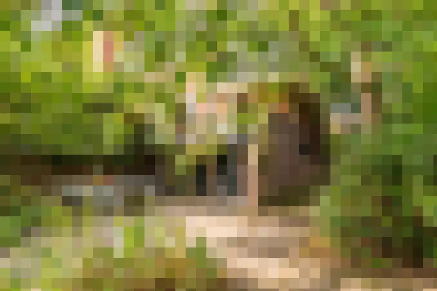 Eikbosserweg 165 Hilversum thumbnail 52
