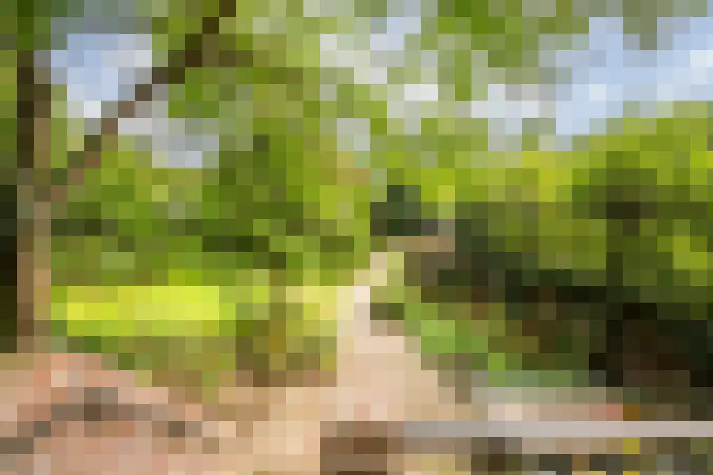 Eikbosserweg 165 Hilversum thumbnail 53