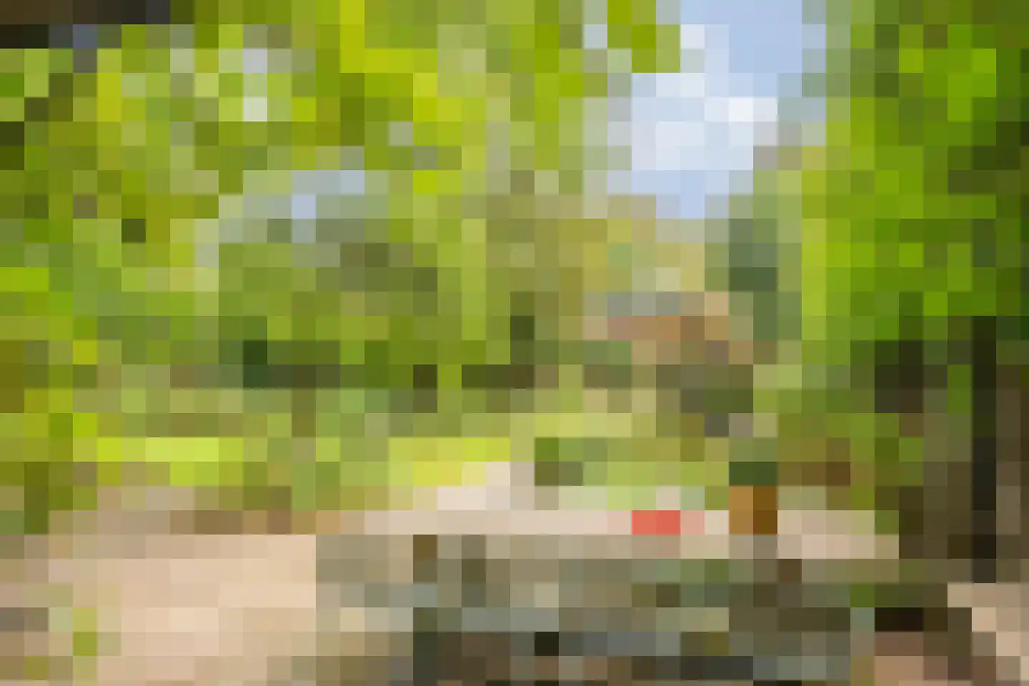 Eikbosserweg 165 Hilversum thumbnail 54