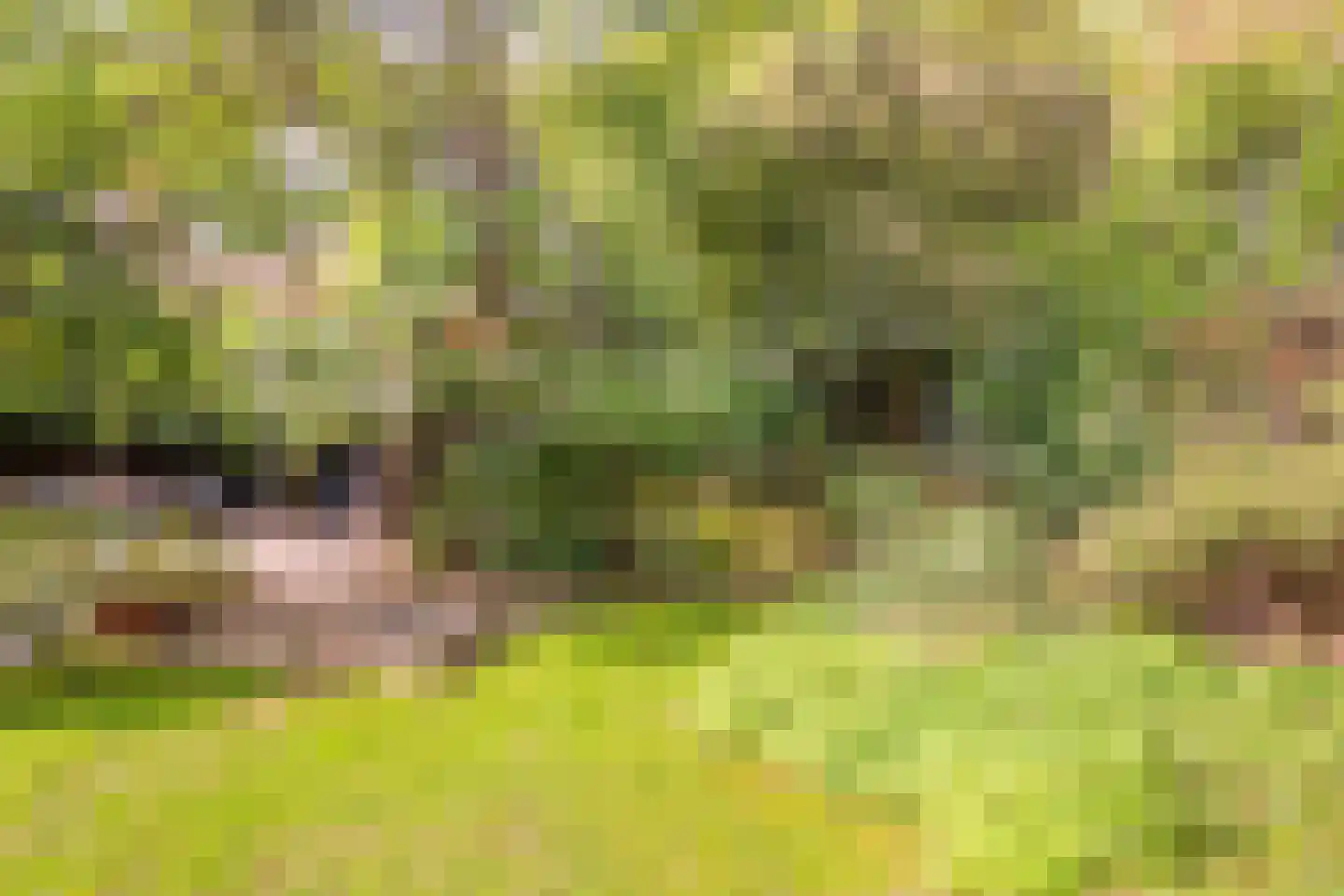 Eikbosserweg 165 Hilversum thumbnail 55