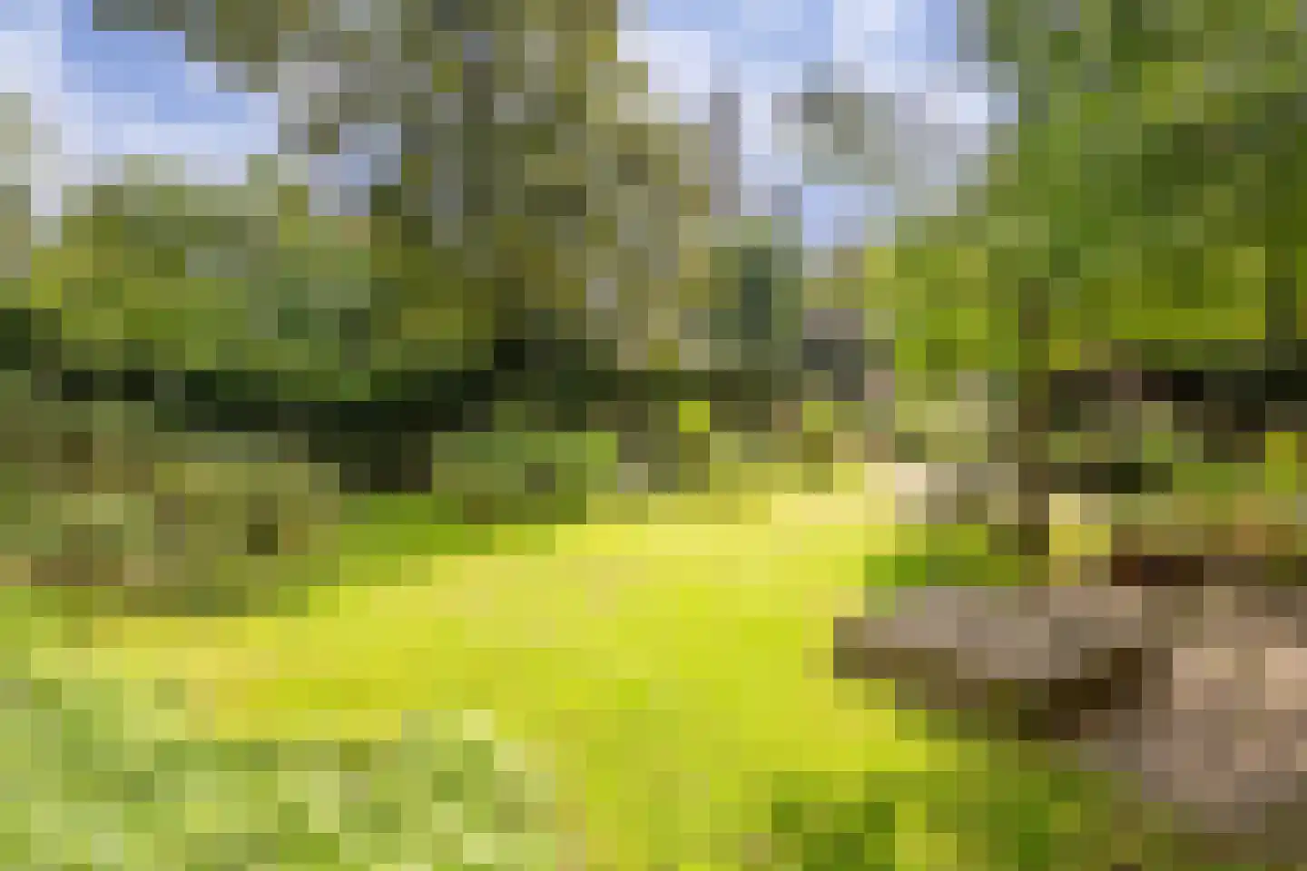 Eikbosserweg 165 Hilversum thumbnail 56