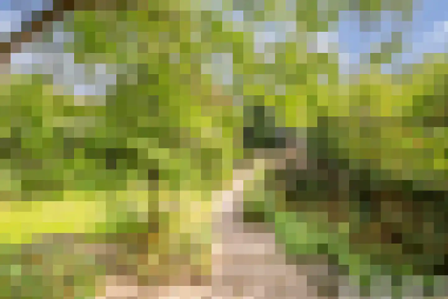 Eikbosserweg 165 Hilversum thumbnail 57