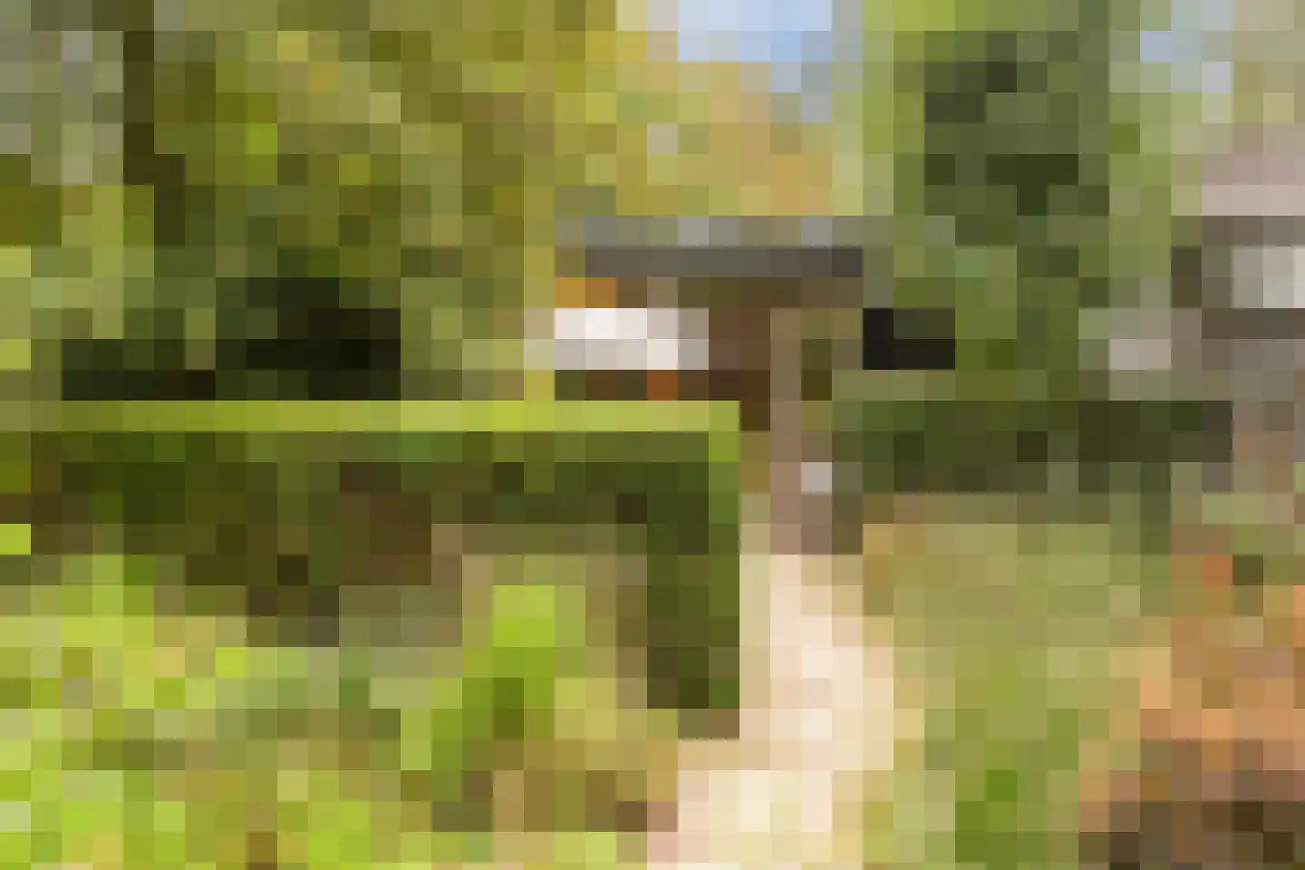 Eikbosserweg 165 Hilversum thumbnail 58