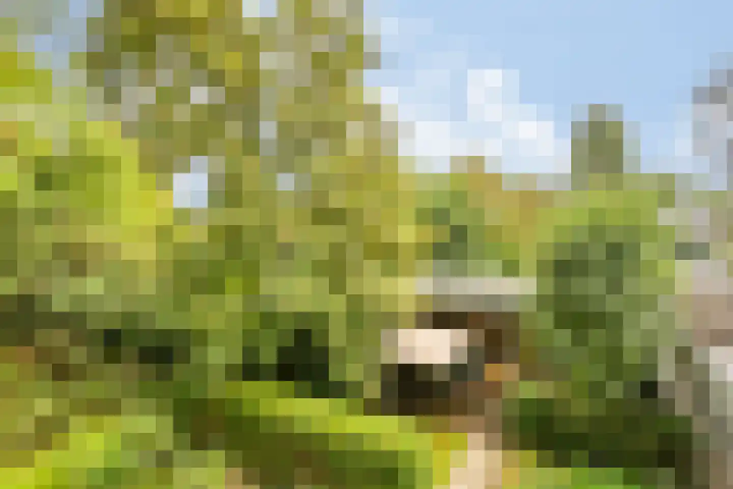 Eikbosserweg 165 Hilversum thumbnail 67