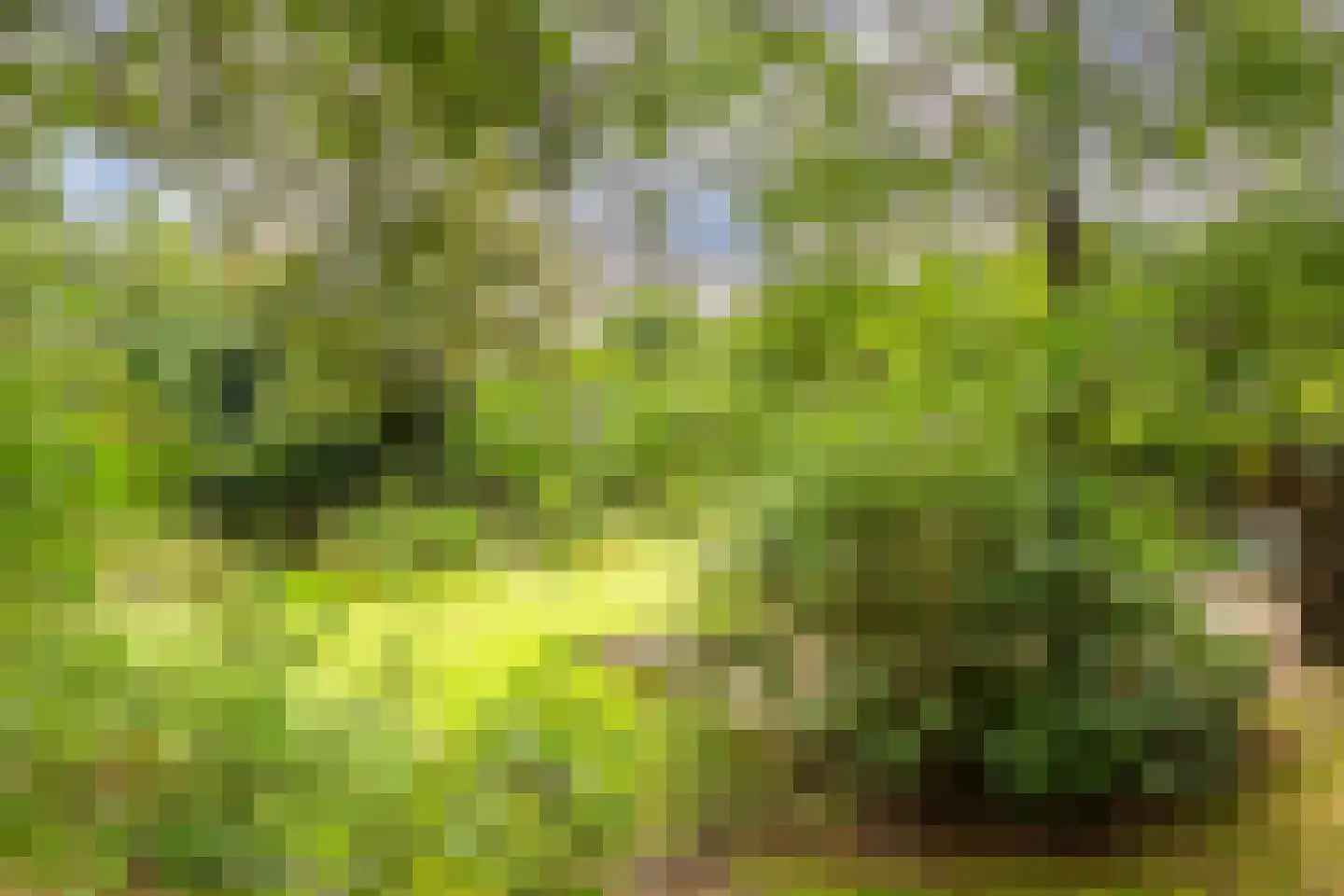 Eikbosserweg 165 Hilversum thumbnail 69