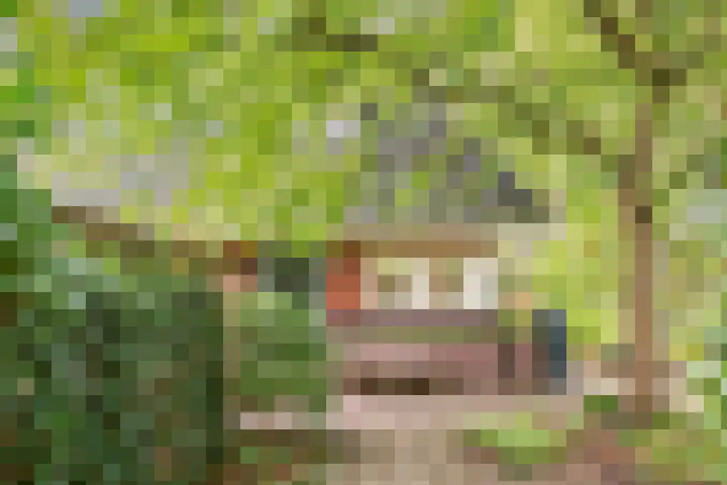 Eikbosserweg 165 Hilversum thumbnail 72