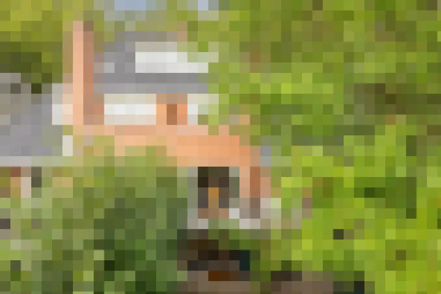 Eikbosserweg 165 Hilversum thumbnail 74