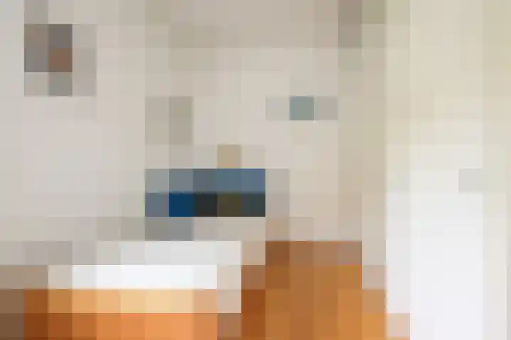 Eikbosserweg 183 L Hilversum thumbnail 20