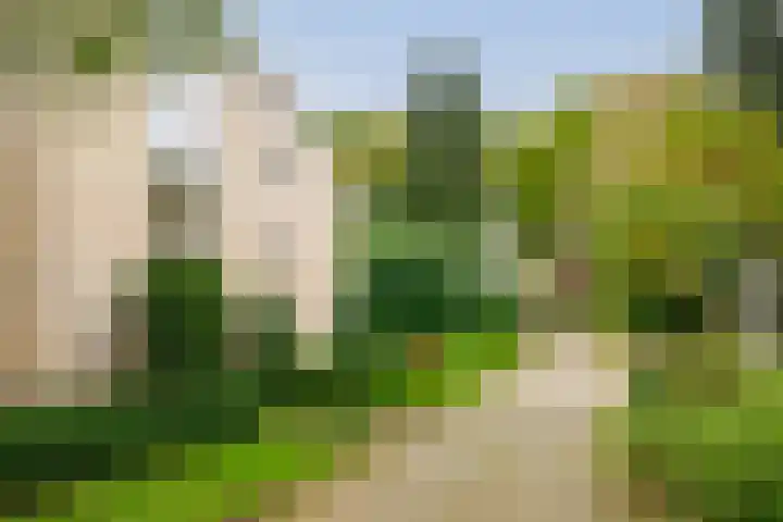 Eikbosserweg 183 L Hilversum thumbnail 25