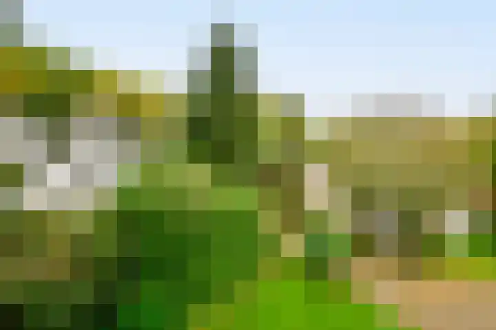 Eikbosserweg 183 L Hilversum thumbnail 27