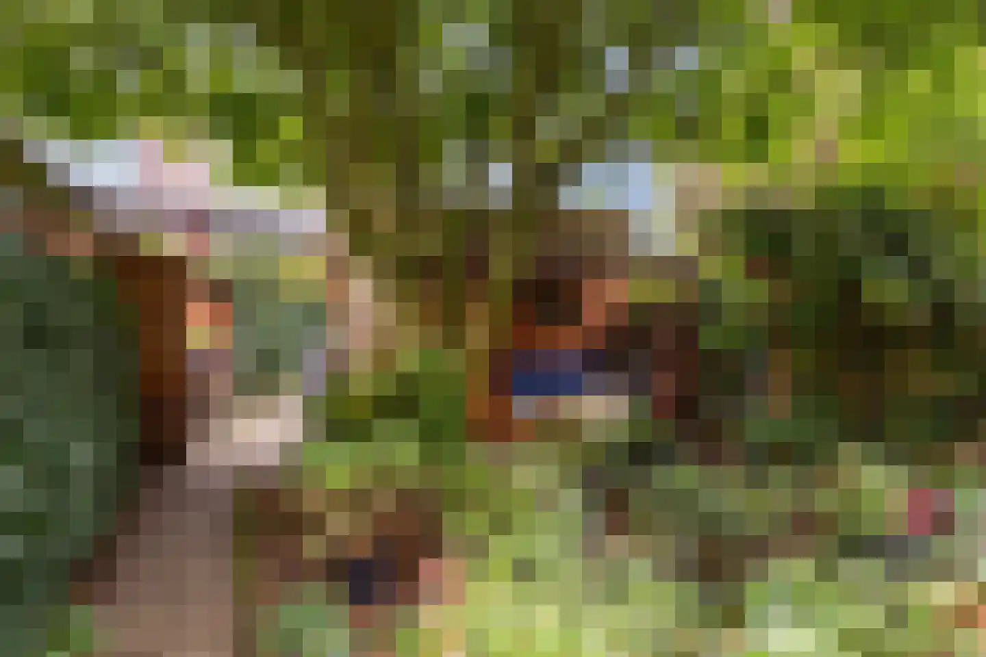 Eikbosserweg 20 Hilversum thumbnail 16
