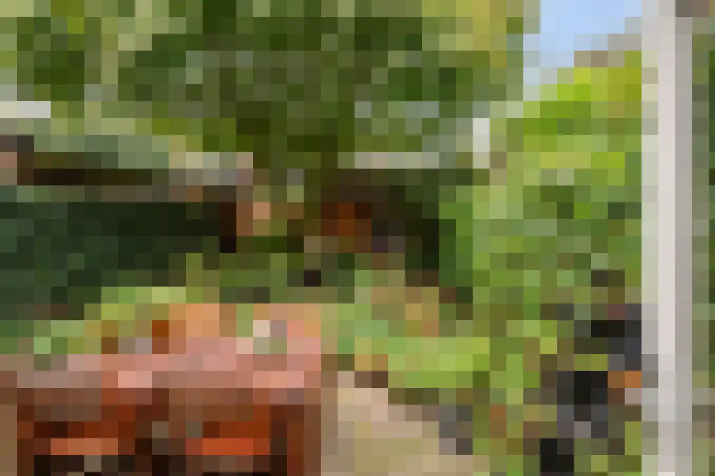 Eikbosserweg 20 Hilversum thumbnail 38